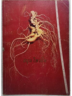 สมุนไพรจีน SKU-09938