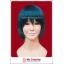 วิกผมคอสเพลย์ เอจิเซ็น เรียวมะ Echizen Ryoma Prince of Tennis Cosplay Wig