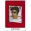วิกผมเอลวิส เพรสลีย์ Elvis Presley Cosplay Wig