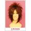 วิกผมซาวาดะ สึนะโยชิ รีบอร์น Sawada Sunayoshi Reborn Cosplay Wig