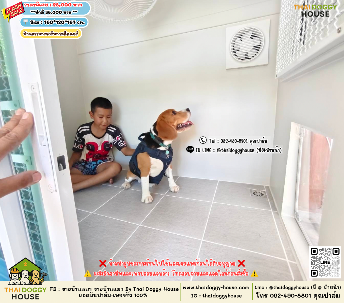 บ้านหมา บ้านแมว 𝐓𝐡𝐚𝐢 𝐝𝐨𝐠𝐠𝐲 𝐡𝐨𝐮𝐬𝗲