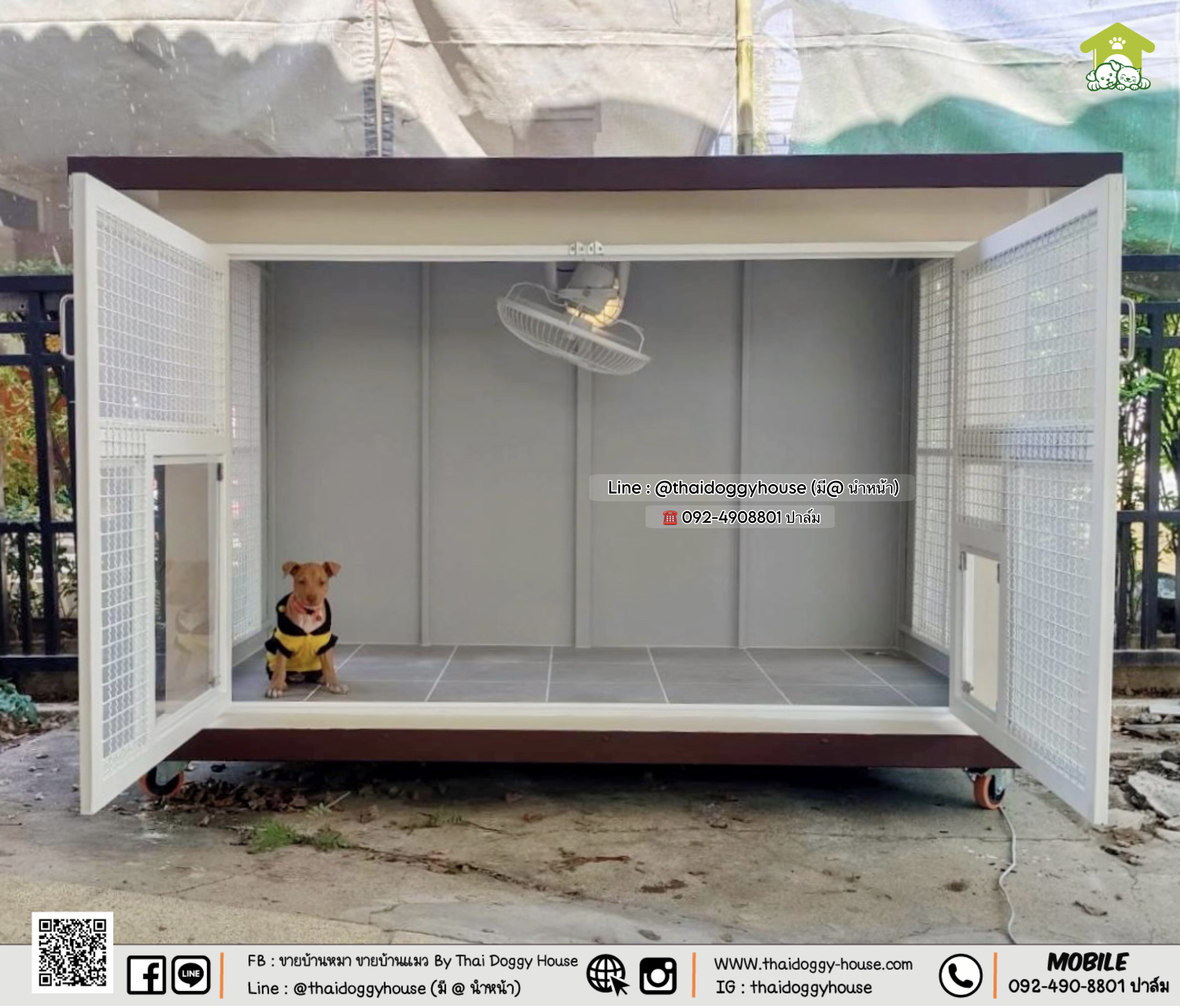 🏡 บ้านหมา บ้านแมว " 𝐁𝐎𝐗 𝐒𝐓𝐘𝐋𝐄 𝐁𝐘 𝐓𝐇𝐀𝐈 𝐃𝐎𝐆𝐆𝐘 𝐇𝐎𝐔𝐒𝐄