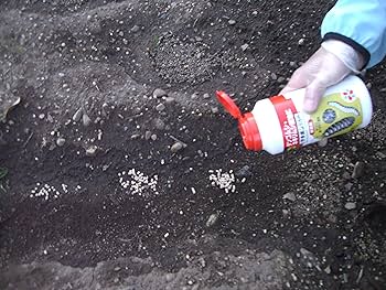 ðSumitomo Chemical Gardening āđāļĄāđāļāļāļģāļāļąāļāđāļĄāļĨāļāļāļĩāđāļāļąāļāļāļīāļ āļāļ·āļāđāļ āļāļāļāđāļĄāđāđāļĨāļ°āļāļąāļāđāļ āļāļ§āļēāļĄāļāļĨāļāļāļ āļąāļĒāļŠāļđāļ Item āļāļĩāđāļāđāļāļāļĄāļĩāļŠāļģāļŦāļĢāļąāļāļŠāļ§āļāđāļāļāđāļēāļ - âïļāļŠāđāļāļāļĢāļāļāļēāļāļāļĩāđāļāļļāđāļ From Japan