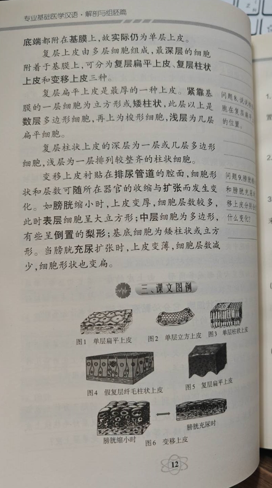 ภาษาจีนทางการเเพทย์ 专业基础医学汉语·解剖与组胚篇