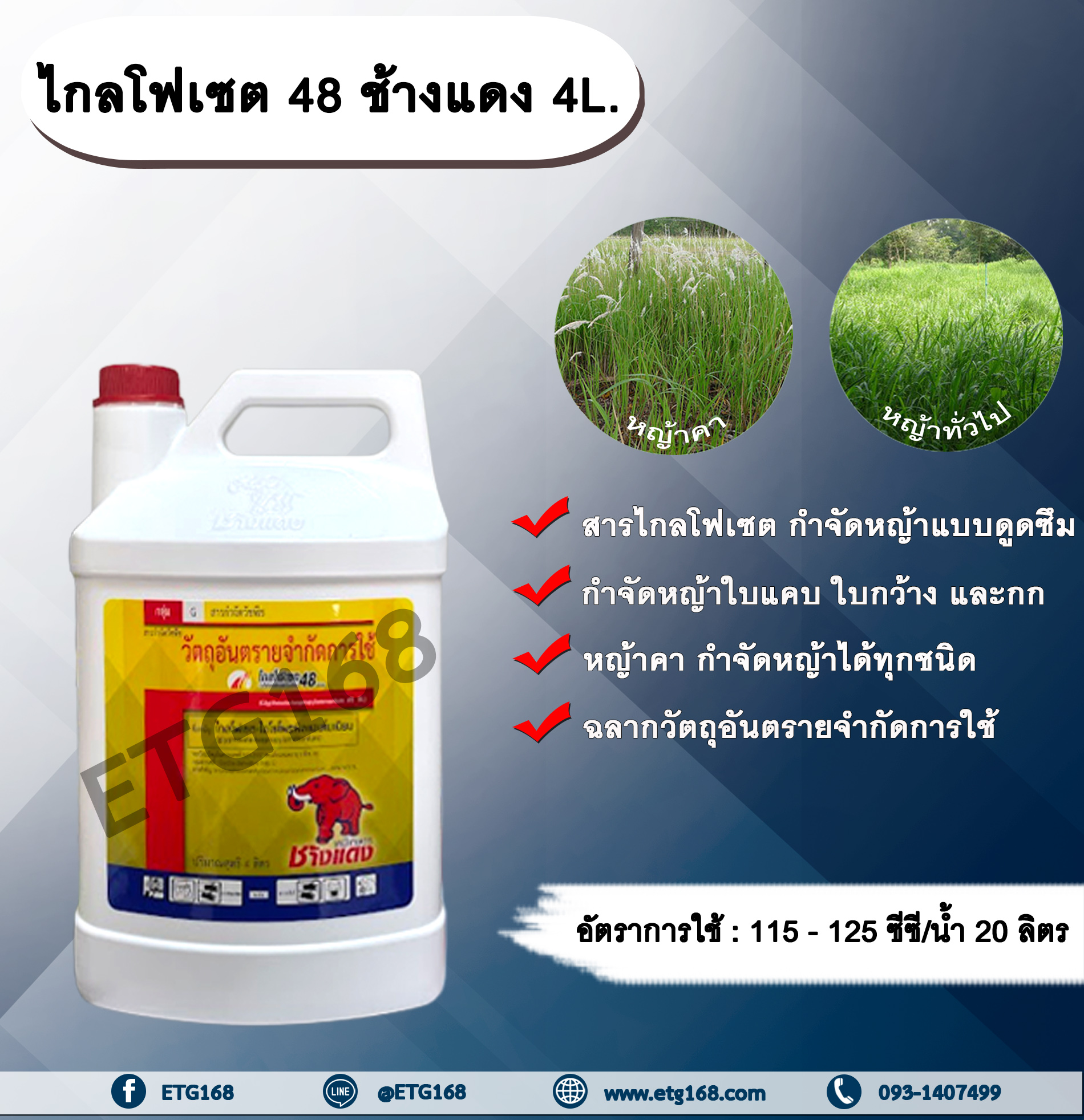 ไกลโฟเซต 48 ช้างแดง 4L.ไกลโฟเซต สารกำจัดวัชพืช แบบดูดซึม กำจัดหญ้าทุกชนิด ตายถึงรากถึงโคน หญ้าคา วัชพืชข้ามปี กำจัดหญ้าใบแคบ ใบกว้างและกก ดูดซึมไม่เลือกทำลาย Glyphosate