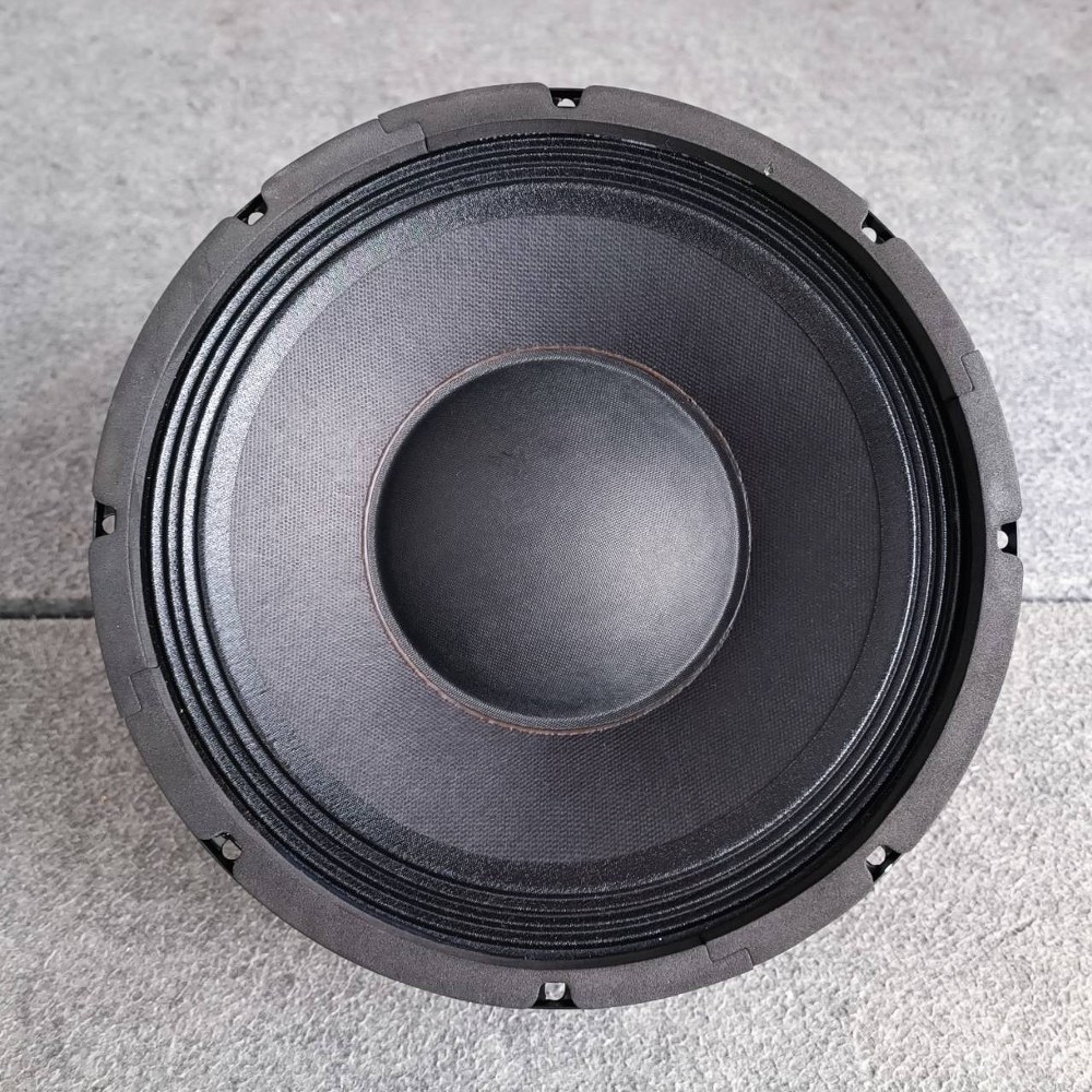 1ดอก NPE EW-1003 ลำโพง 10" ดอกลำโพง ลำโพง10นิ้ว ลำโพงNPE EW1003 ดอกตู้ลำโพง ดอกตู้ลำโพงNPE EW 1003 เอไอ-ไพศาล