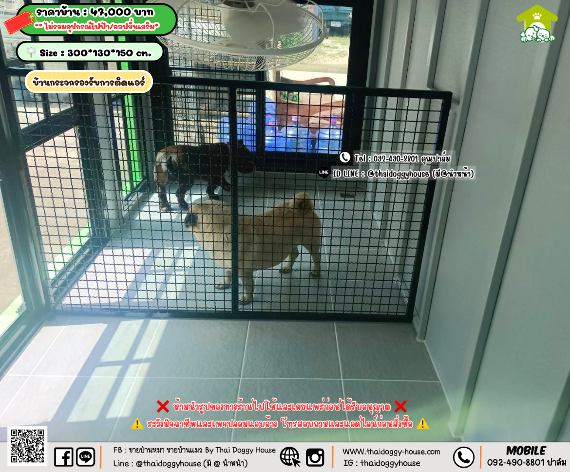 บ้านหมา บ้านแมว 𝐓𝐡𝐚𝐢 𝐝𝐨𝐠𝐠𝐲 𝐡𝐨𝐮𝐬𝗲