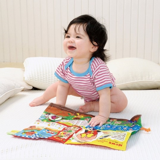 BT291 หนังสือผ้าลายอันปัง ผืนละ