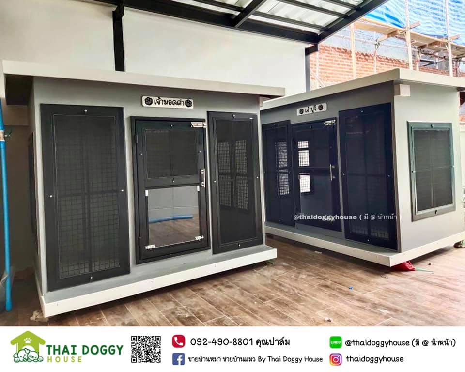 บ้านหมา บ้านแมว ดีไซน์ทันสมัย