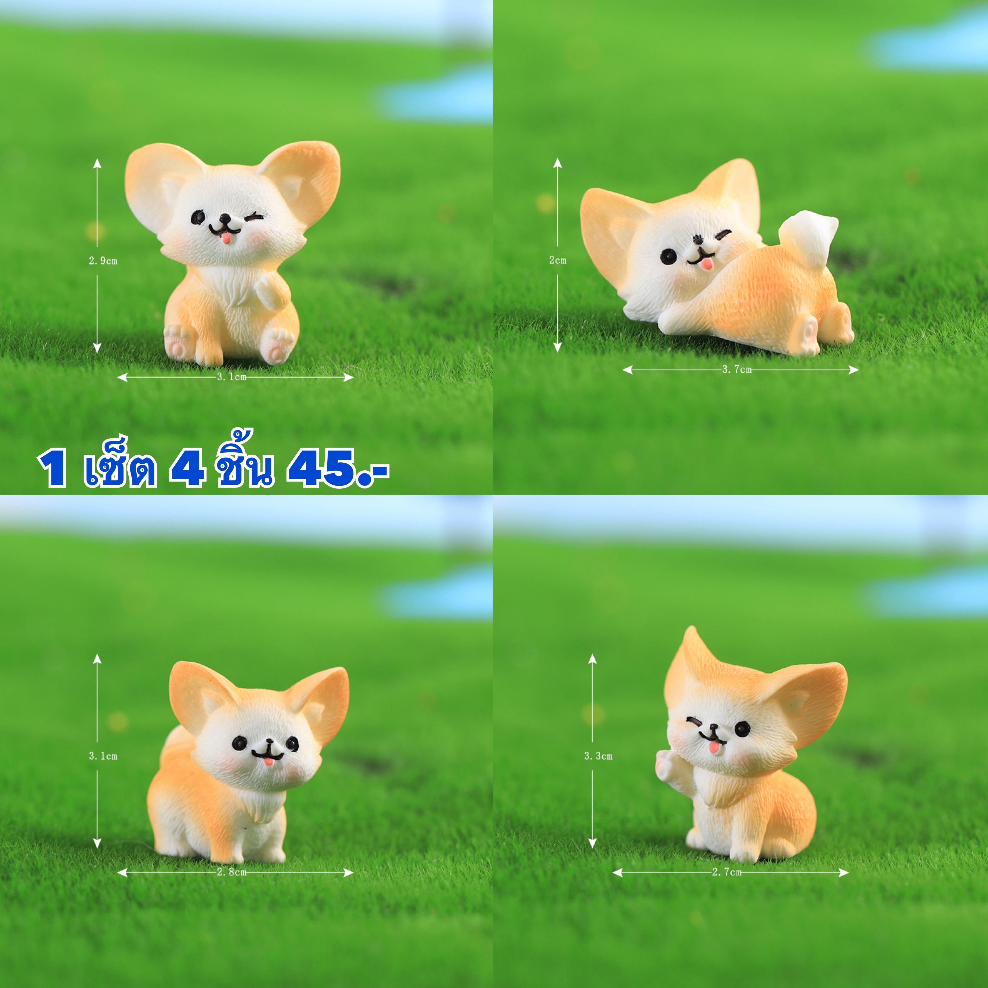 หมา 4 ชิ้น