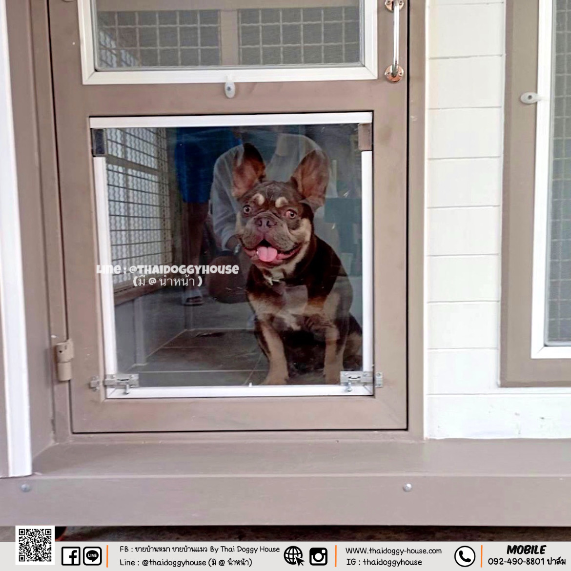 บ้านหมา บ้านแมว Thai doggy house