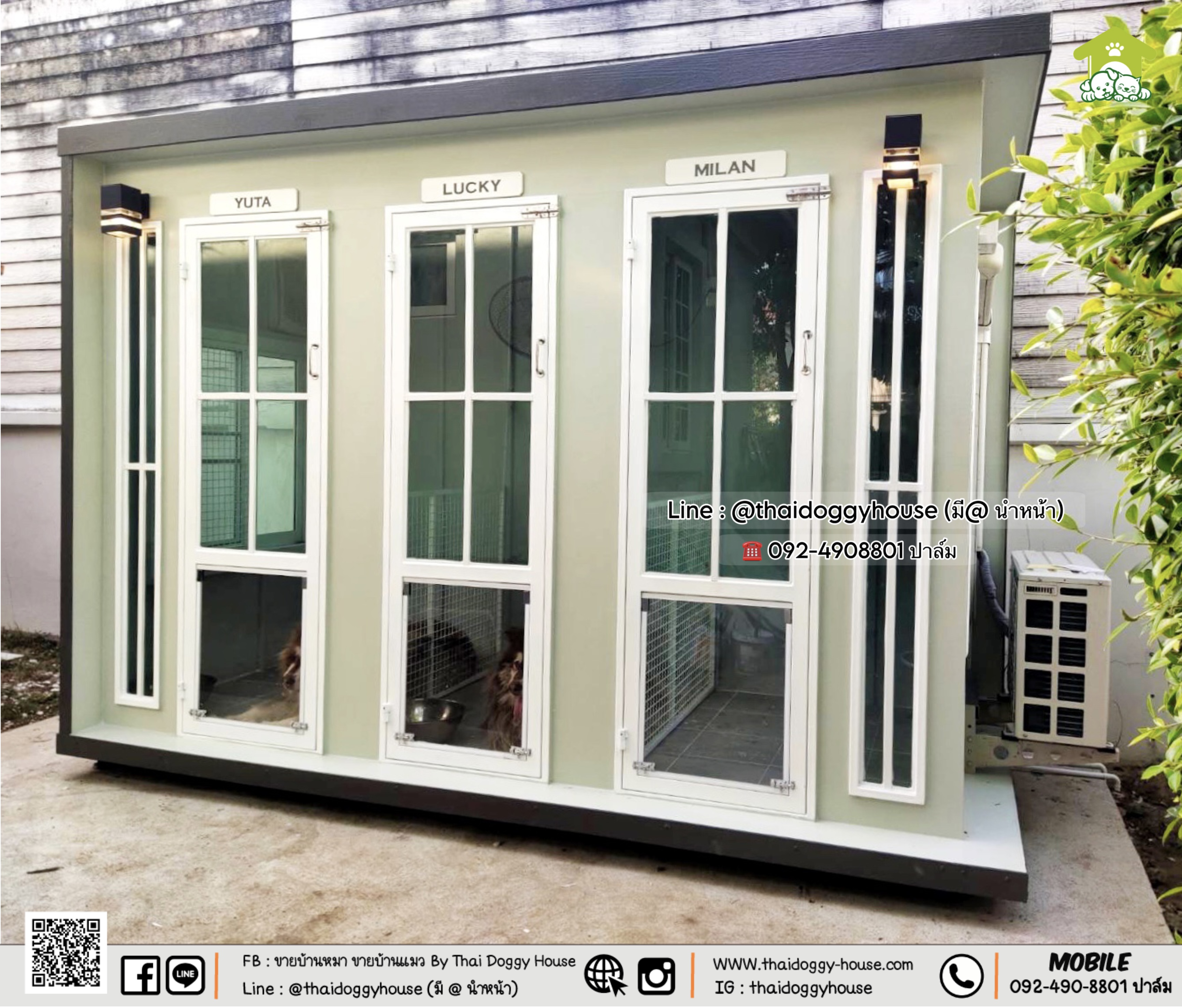 🏡 บ้านหมา บ้านแมว " 𝐁𝐎𝐗 𝐒𝐓𝐘𝐋𝐄 𝐁𝐘 𝐓𝐇𝐀𝐈 𝐃𝐎𝐆𝐆𝐘 𝐇𝐎𝐔𝐒𝐄