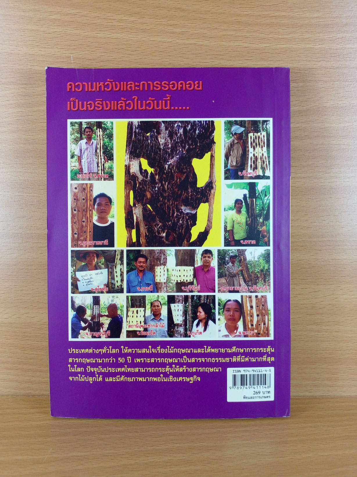 ไม้กฤษณาปลูก ต้นละหมื่น ไร่เป็นล้าน