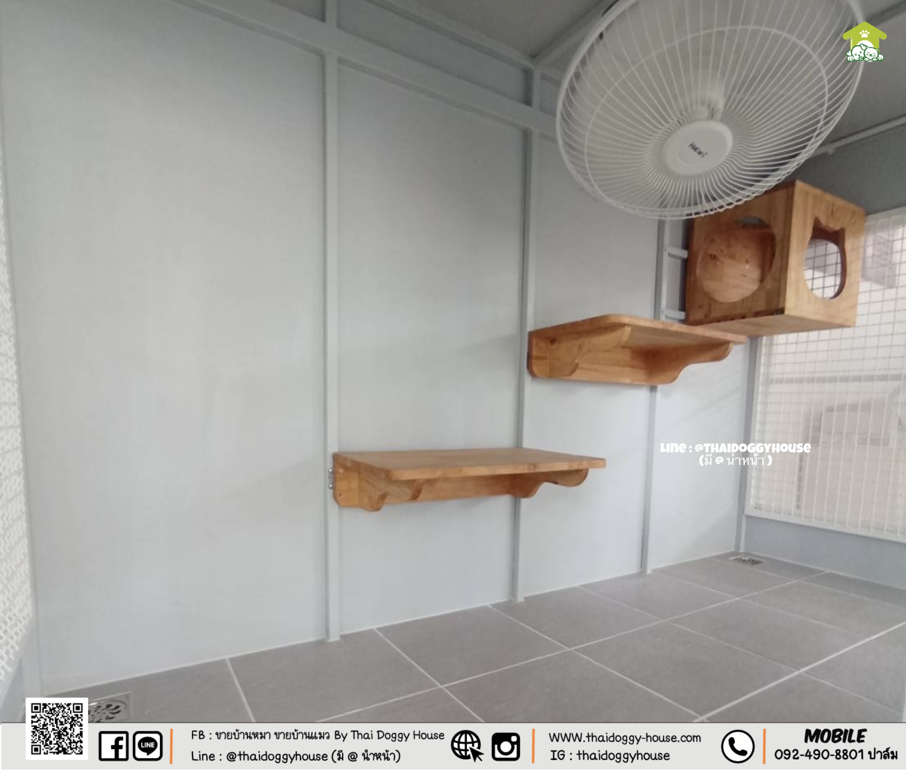 บ้านหมา บ้านแมว " 𝐁𝐎𝐗 𝐒𝐓𝐘𝐋𝐄 𝐁𝐘 𝐓𝐇𝐀𝐈 𝐃𝐎𝐆𝐆𝐘 𝐇𝐎𝐔𝐒𝐄 "