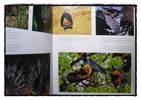 THAILAND’S NATURAL HERITAGE 021897 (1)