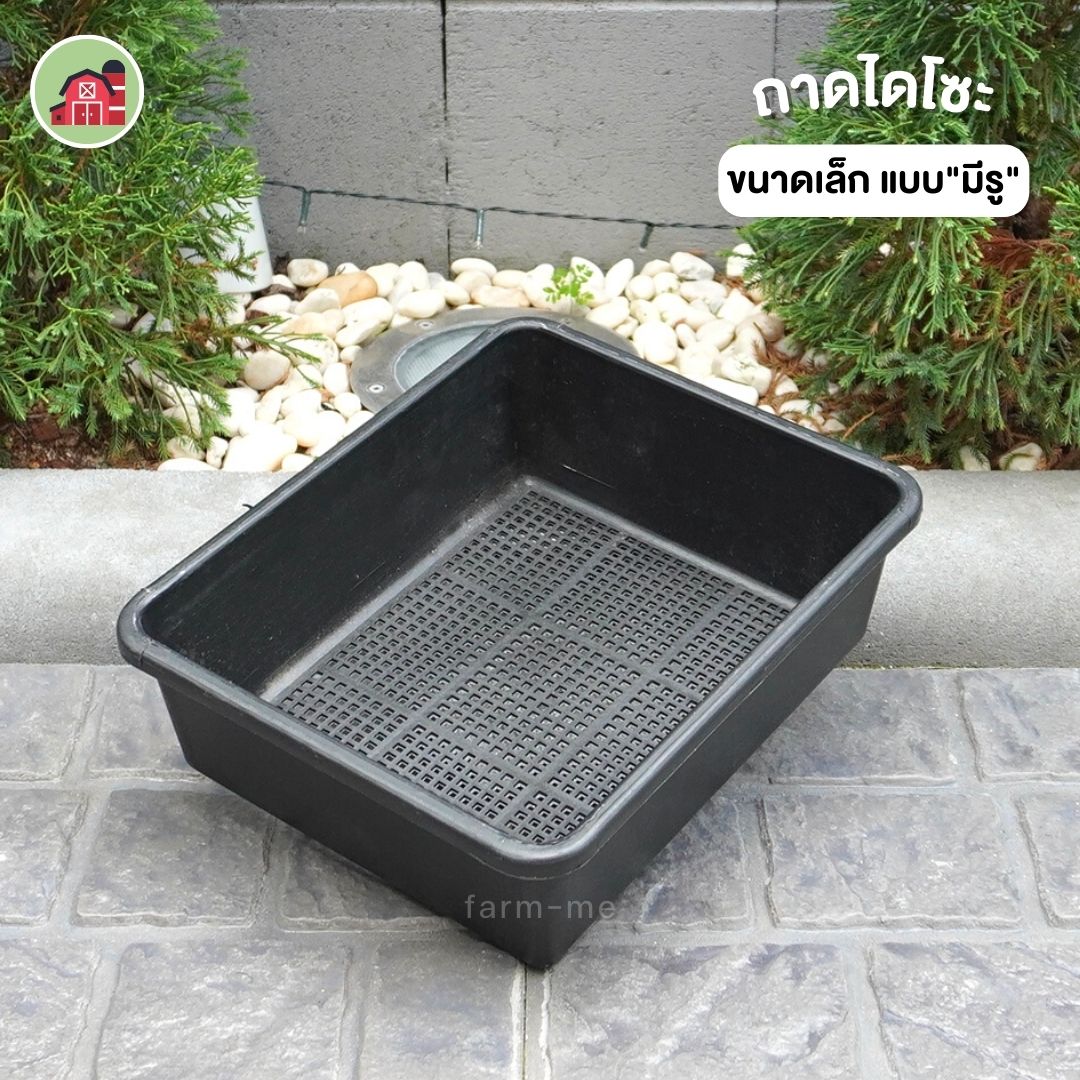 ถาดไดโซะ ขนาดเล็ก มีรู
