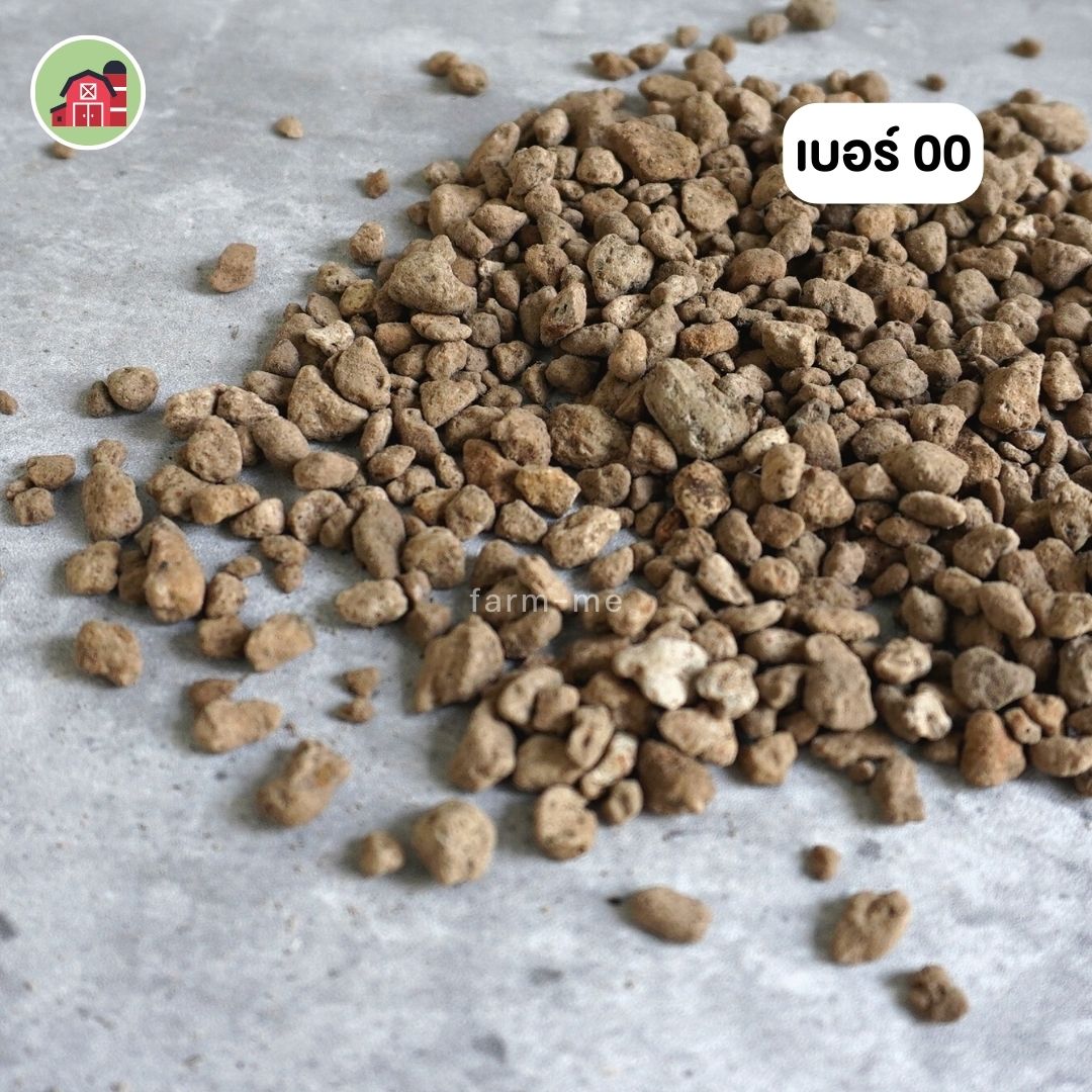 หินภูเขาไฟ