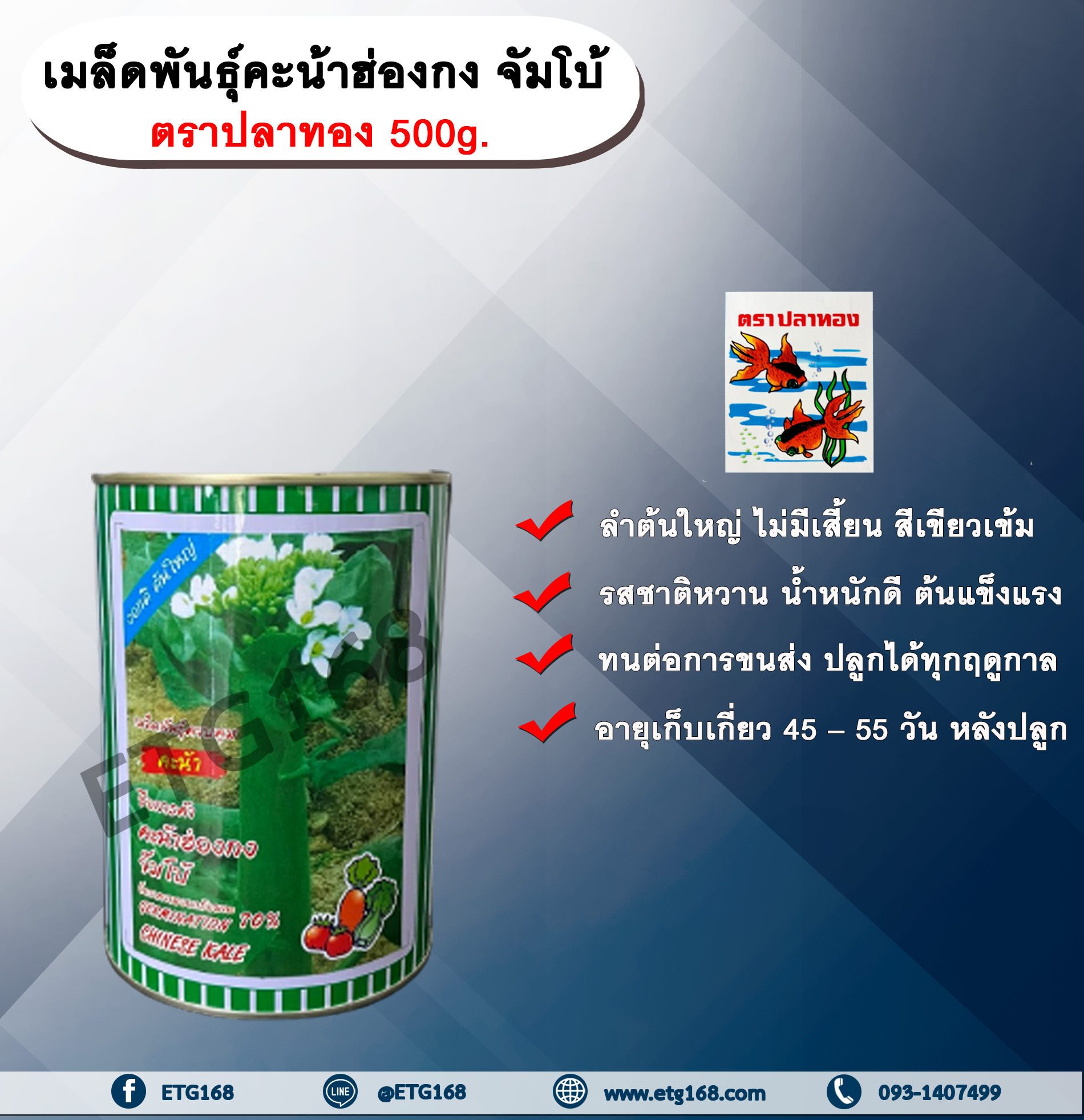 เมล็ดพันธุ์คะน้าฮ่องกง จัมโบ้ 500 g. ตราปลาทอง เมล็ดพันธุ์ เมล็ดพันธุ์ผัก ผักคะน้า คะน้าฮ่องกงจัมโบ้ เมล็ดพันธุ์ควบคุม ลำต้นใหญ่ ไม่มีเสี้ยน สีเขียวเข้ม รสชาติหวาน น้ำหนักดี ต้นแข็งแรง ทนต่อการขนส่ง ปลูกได้ทุกฤดูกาล