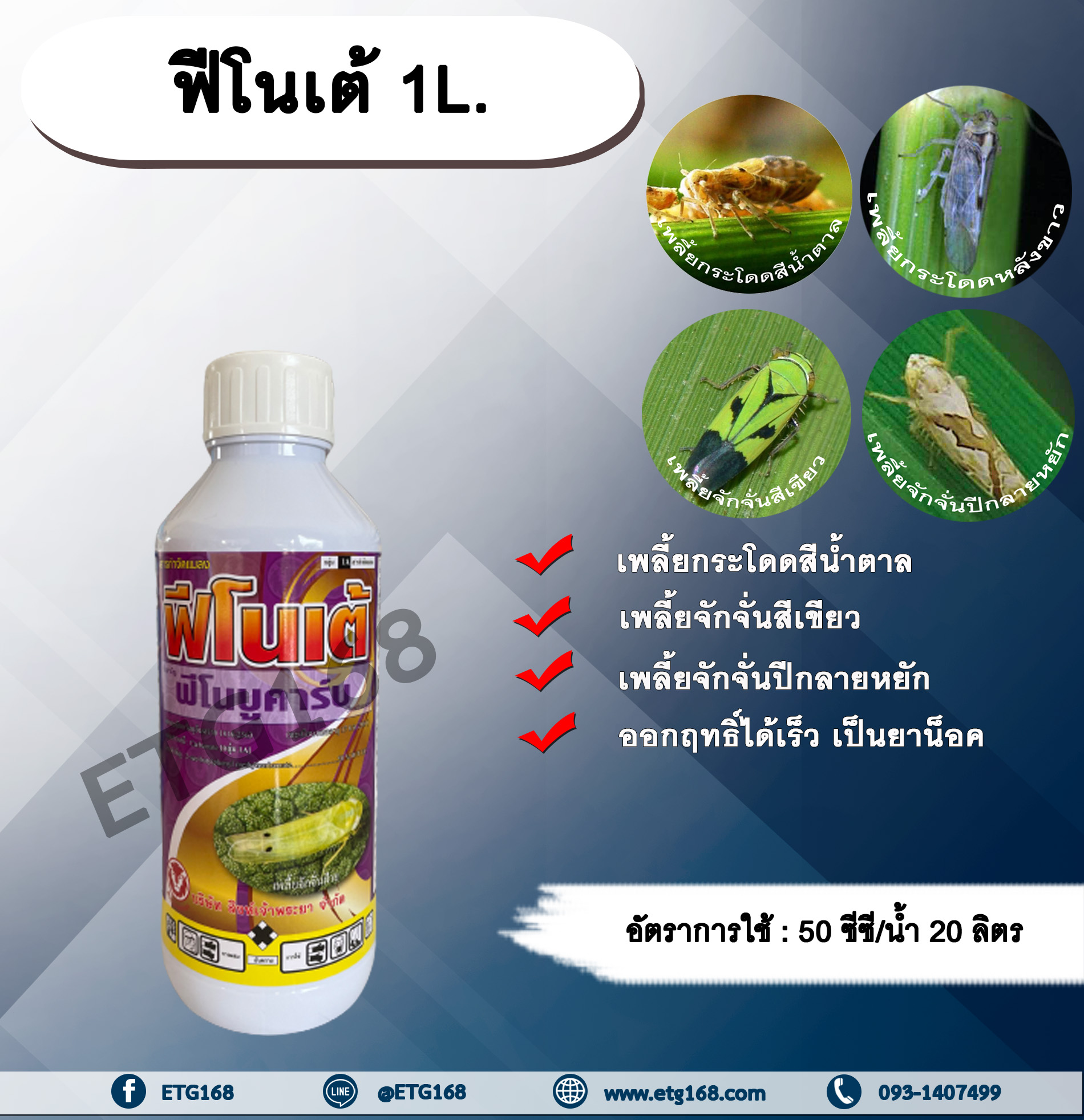 ฟีโนเต้ 1L. ฟีโนบูคาร์บ เพลี้ยกระโดดสีน้ำตาล เพลี้ยกระโดดหลังขาว เพลี้ยจักจั่นสีเขียว เพลี้ยจักจั่นปีกลายหยัก สารจัดแมลง สารกำจัดเพลี้ย ออกฤทธิ์เร็ว แบบน็อค สิงห์เจ้าพระยา