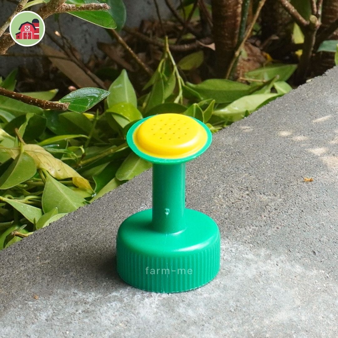 ฝารดน้ำสำหรับใส่ขวด