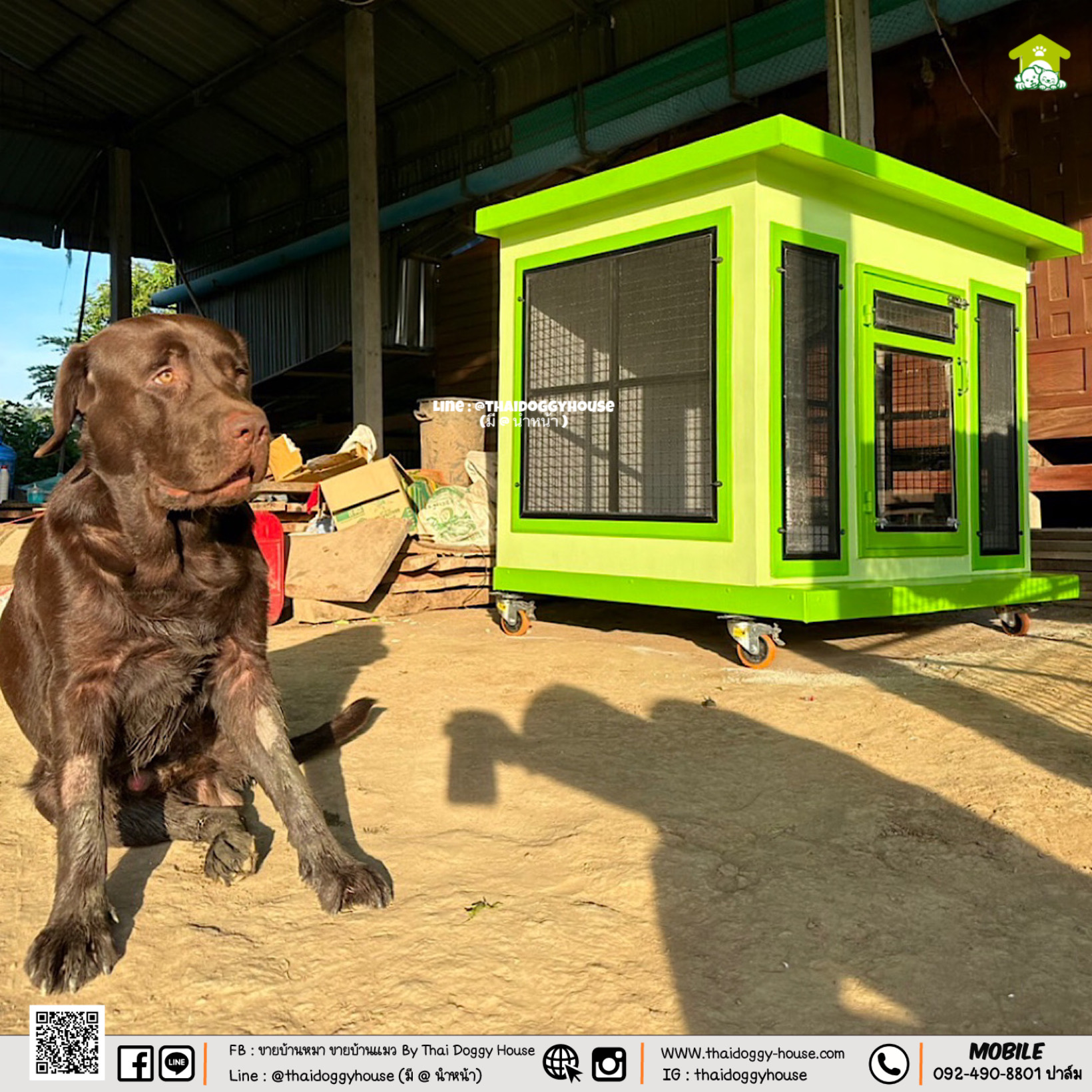 บ้านหมา บ้านแมว " 𝐁𝐎𝐗 𝐒𝐓𝐘𝐋𝐄 𝐁𝐘 𝐓𝐇𝐀𝐈 𝐃𝐎𝐆𝐆𝐘 𝐇𝐎𝐔𝐒𝐄 "