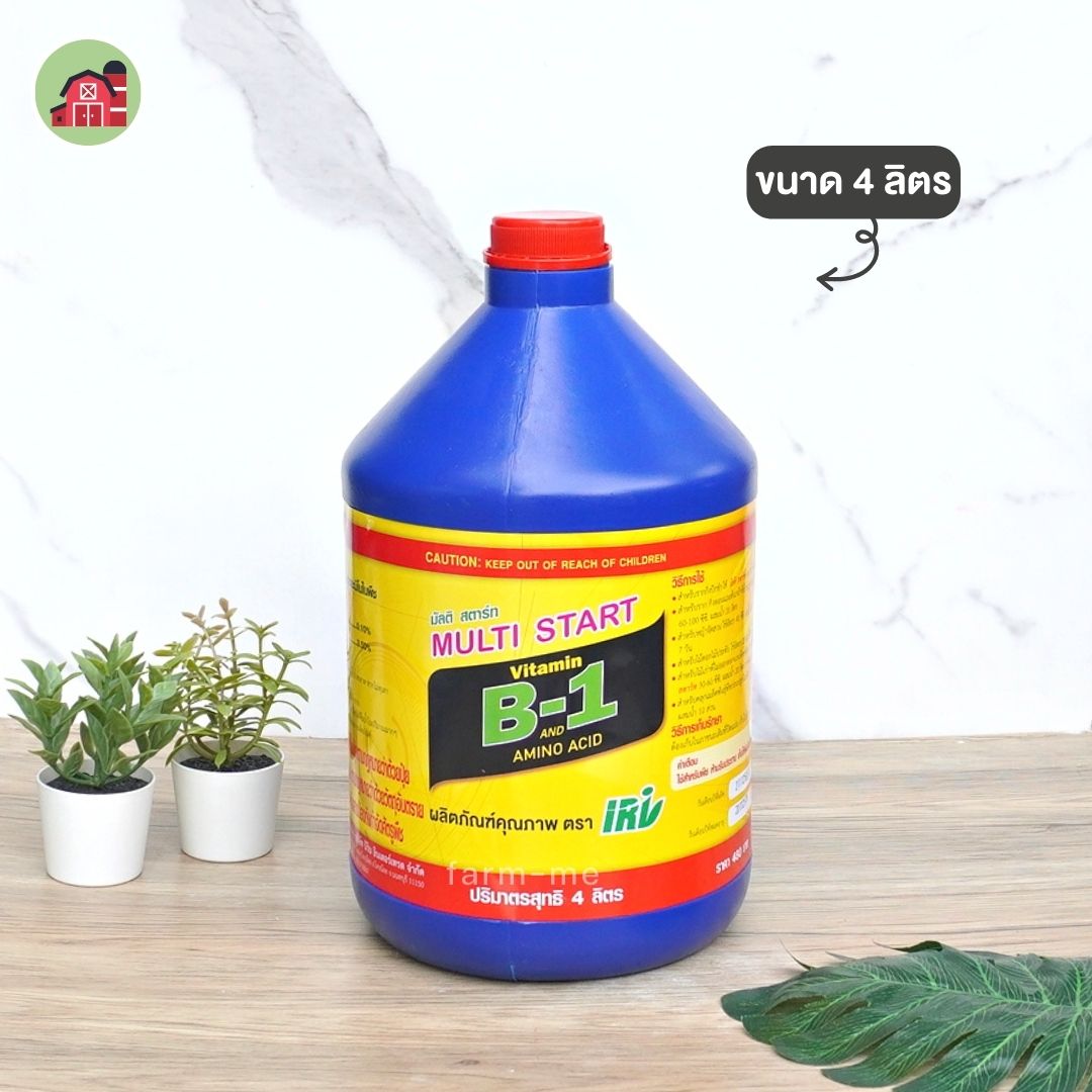 วิตามิน B1