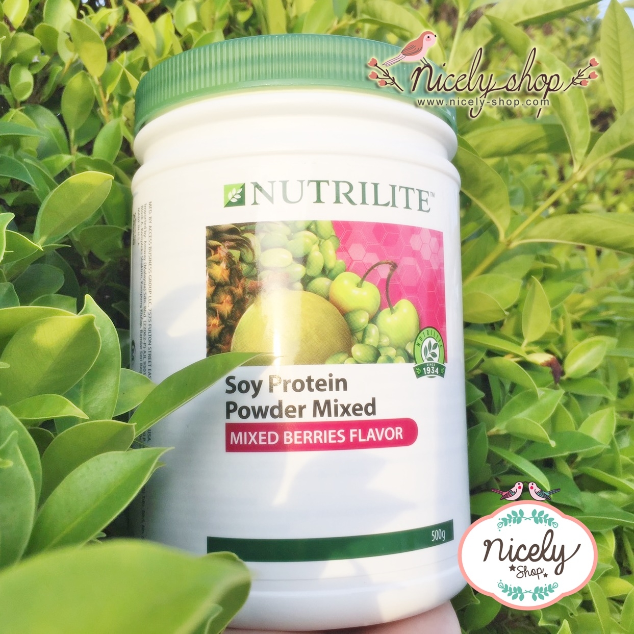 Protein Drink Mix Berries เบอรี่เป็นแหล่งกรดฟีโนลิก วิตCและโฟเลตฟื้นฟูคอลลาเจน500 g หอม อร่อย