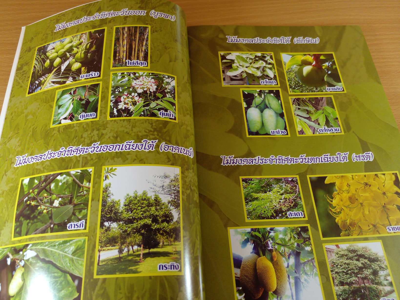 สมุนไพรไม้มงคล 8 ทิศ พรรณไม้ในพุทธประวัติ