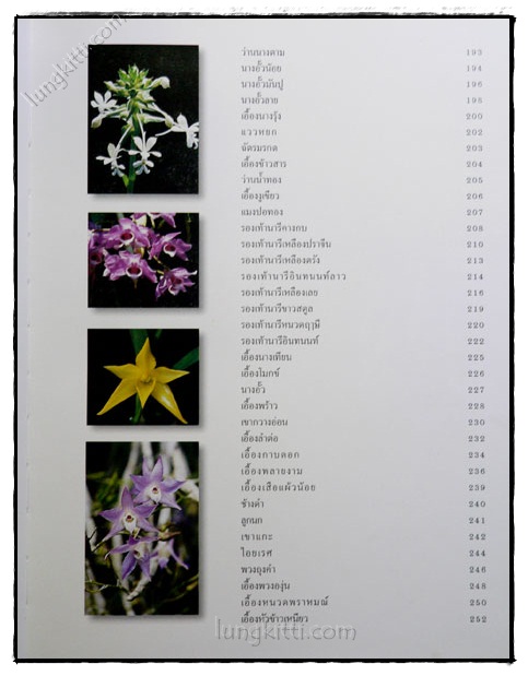 สวนพฤกษศาสตร์สมเด็จพระนางเจ้าสิริกิติ์ กล้วยไม้ไทย 023519 (1)