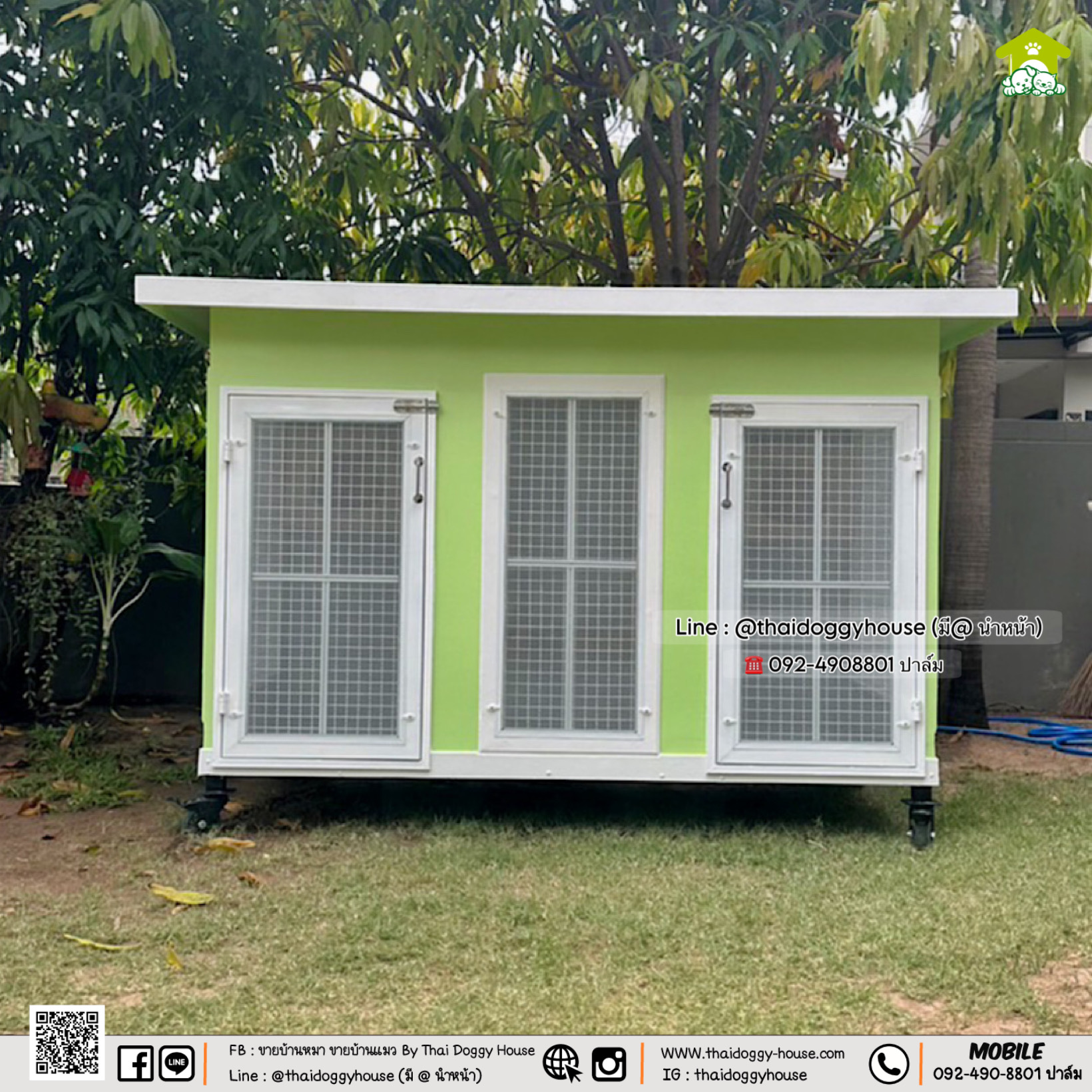 🏡 บ้านหมา บ้านแมว " 𝐁𝐎𝐗 𝐒𝐓𝐘𝐋𝐄 𝐁𝐘 𝐓𝐇𝐀𝐈 𝐃𝐎𝐆𝐆𝐘 𝐇𝐎𝐔𝐒𝐄