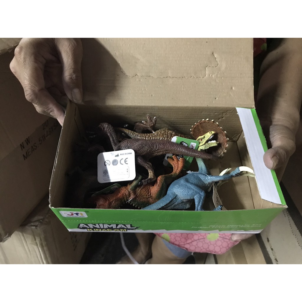 S60467 ของเล่นเด็กโมเดทไดโนเสาร์ 6 ตัว ไดโนเสาร์เล่นมือ ปลีกกล่องละ sale