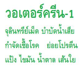 วอเตอร์คลีน-1: จุลินทรีย์เม็ดและเอนไซด์บำบัดน้ำเสีย ย่อยโปรตีน ไขมัน แป้ง เส้นใยของเสียในโรงงาน โรงแรม หมู่บ้านจัดสรร โรงฆ่าสัตว์และเทศบาล :1 กิโลกรัม