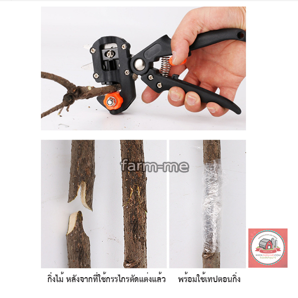 กรรไกรตอนกิ่งเสียบยอด