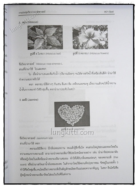 ผลิตภัณฑ์จากสมุนไพรและผลิตภัณฑ์เสริมอาหาร 020848 (1)