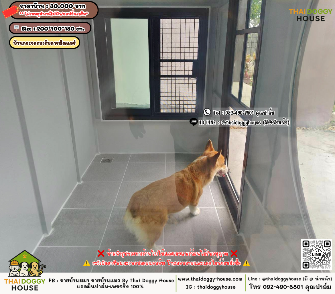 บ้านหมา บ้านแมว 𝐓𝐡𝐚𝐢 𝐝𝐨𝐠𝐠𝐲 𝐡𝐨𝐮𝐬𝗲
