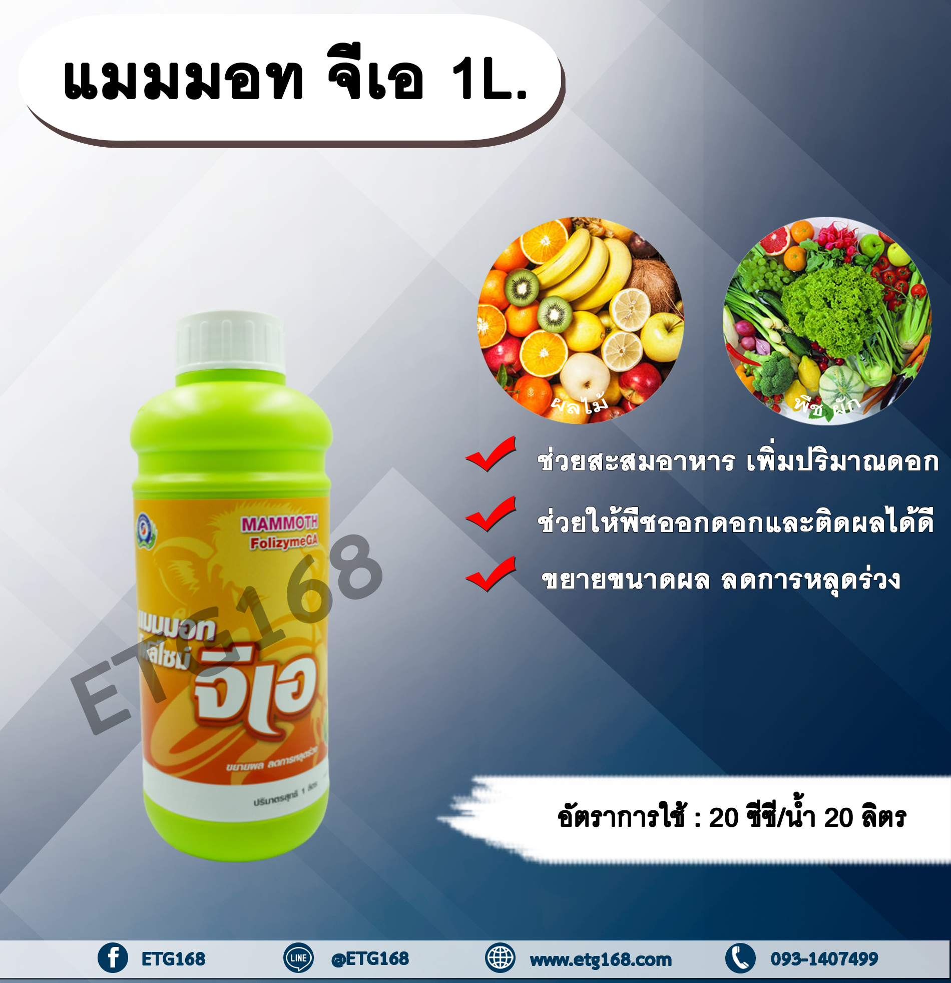 แมมมอท จีเอ 1L. ฮอร์โมนพืช บำรุงดอก สะสมอาหาร เพิ่มปริมาณดอก พืชออกดอก ติดผลดี ขยายขนาดผล ลดการหลุดร่วง