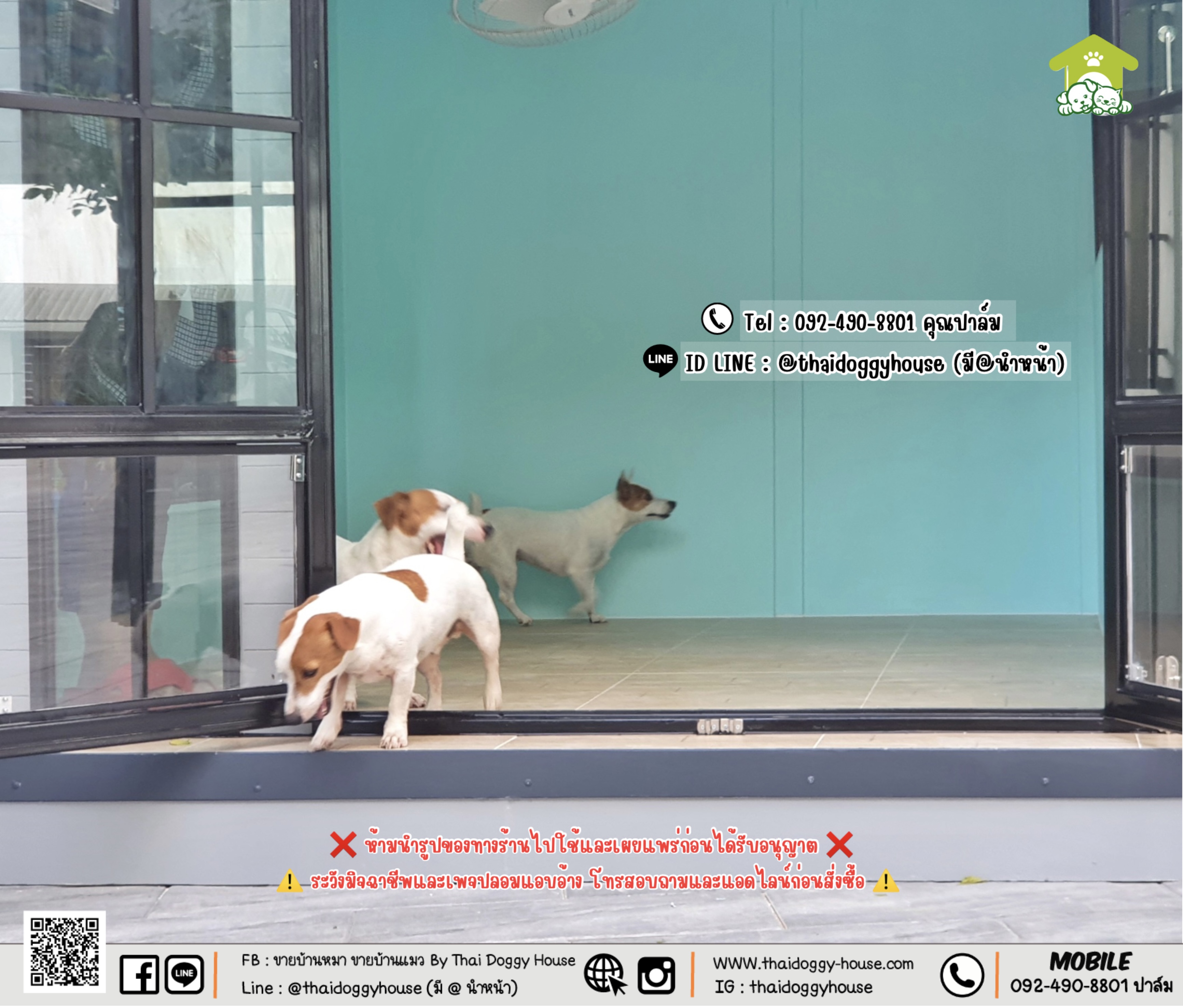 บ้านหมา บ้านแมว 𝐓𝐡𝐚𝐢 𝐝𝐨𝐠𝐠𝐲 𝐡𝐨𝐮𝐬𝐞 แบบบ้าน 𝐁𝐨𝐱 𝐒𝐭𝐲𝐥𝐞 #บ้านกระจกรองรับการติดแอร์