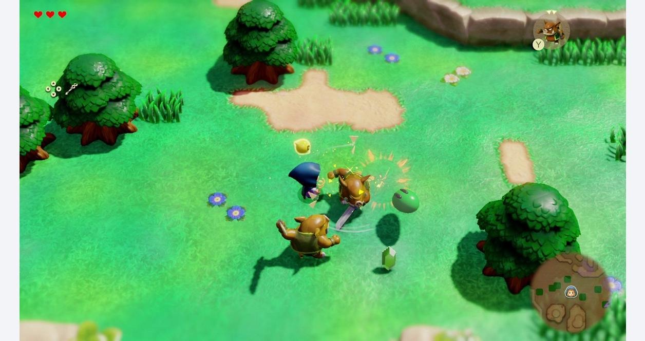 NSW: Zelda Echoes of Wisdom (Asia) (EN)