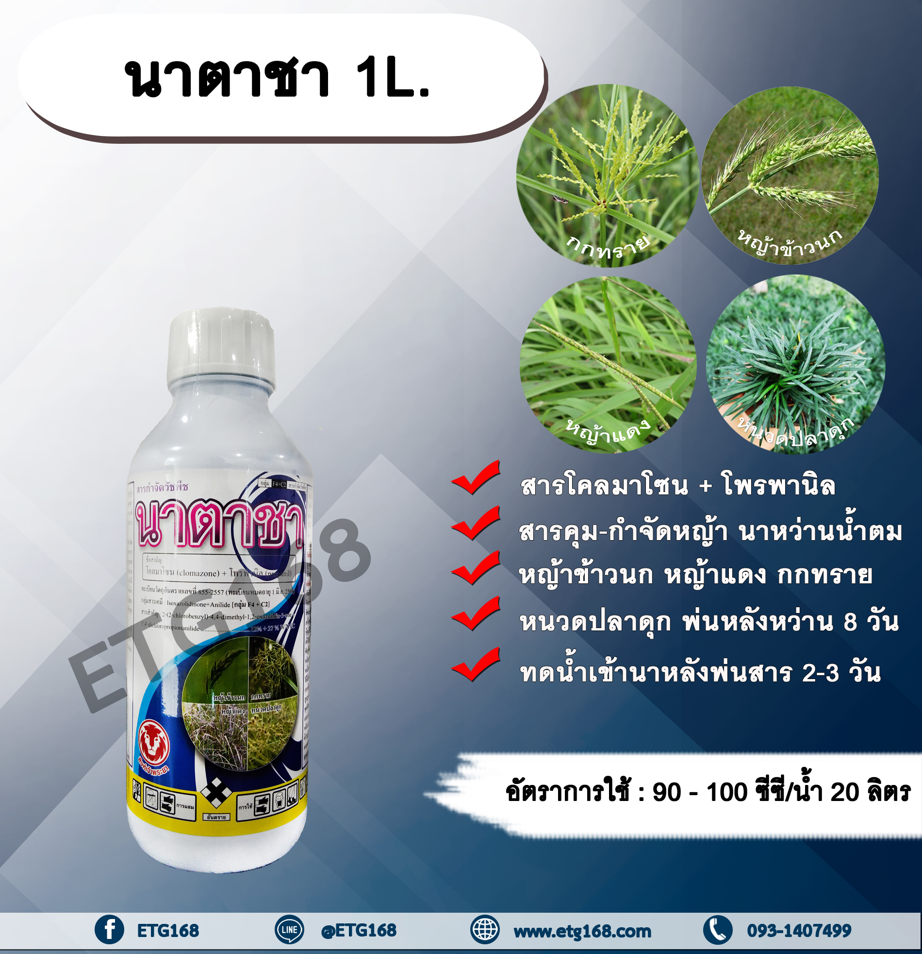 นาตาชา 1L. โคลมาโซน+โพรพานิล สารคุมวัชพืช สารกำจัดวัชพืช ในข้าวนาหว่านน้ำตม คุมและกำจัดหญ้าใบแคบ หญ้าใบกว้าง กก