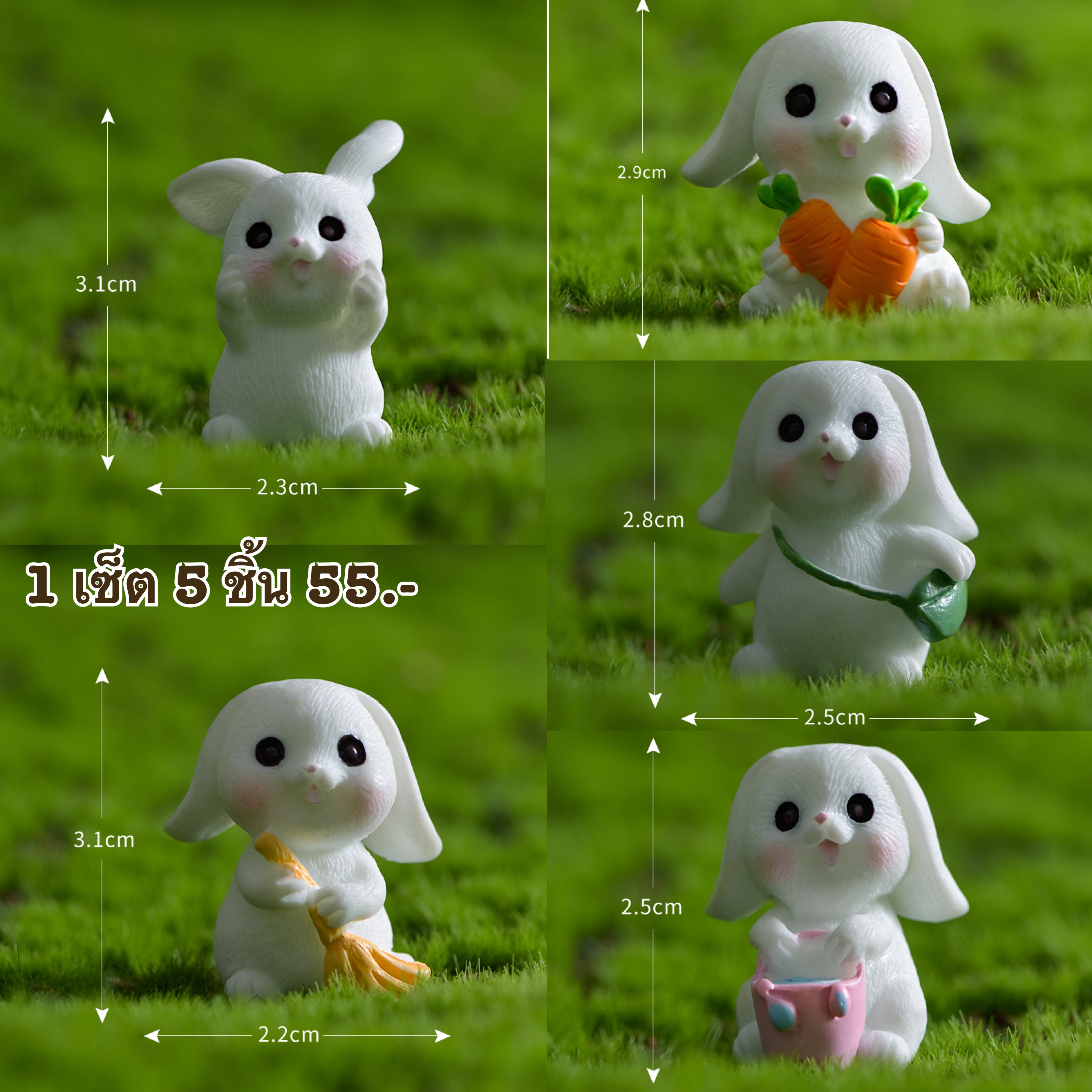 กระต่าย 5 ชื้น