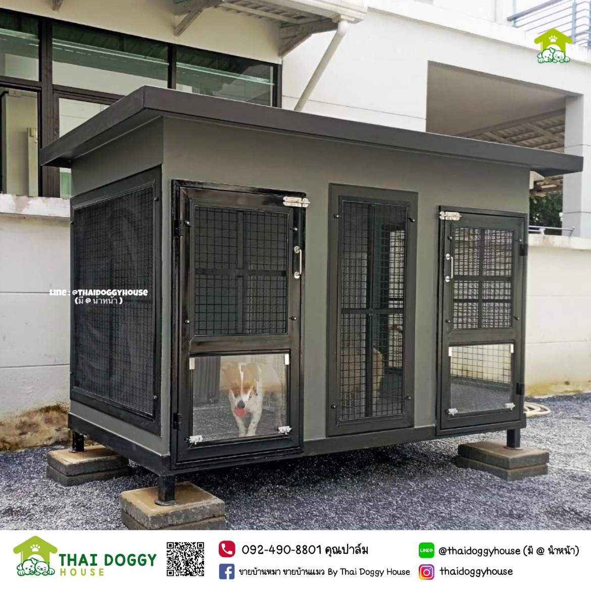 บ้านหมา บ้านแมว " 𝐁𝐎𝐗 𝐒𝐓𝐘𝐋𝐄 𝐁𝐘 𝐓𝐇𝐀𝐈 𝐃𝐎𝐆𝐆𝐘 𝐇𝐎𝐔𝐒𝐄 " &#x