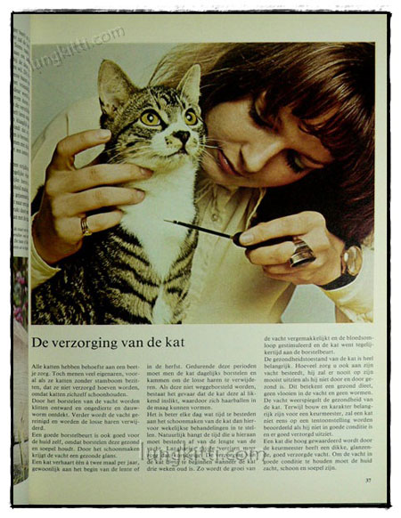 DE WONDERLIJKE NATUUR :DE KAT ALS HUISDIER 019619 (1)