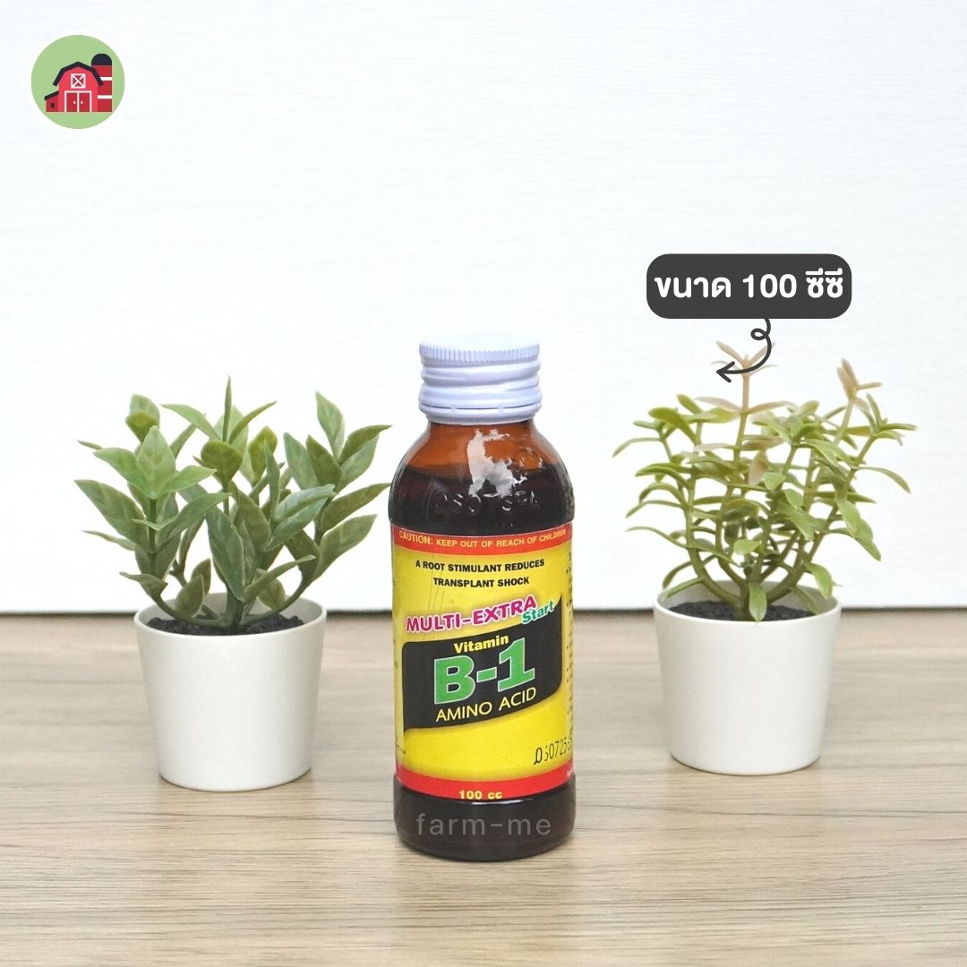 วิตามิน B1