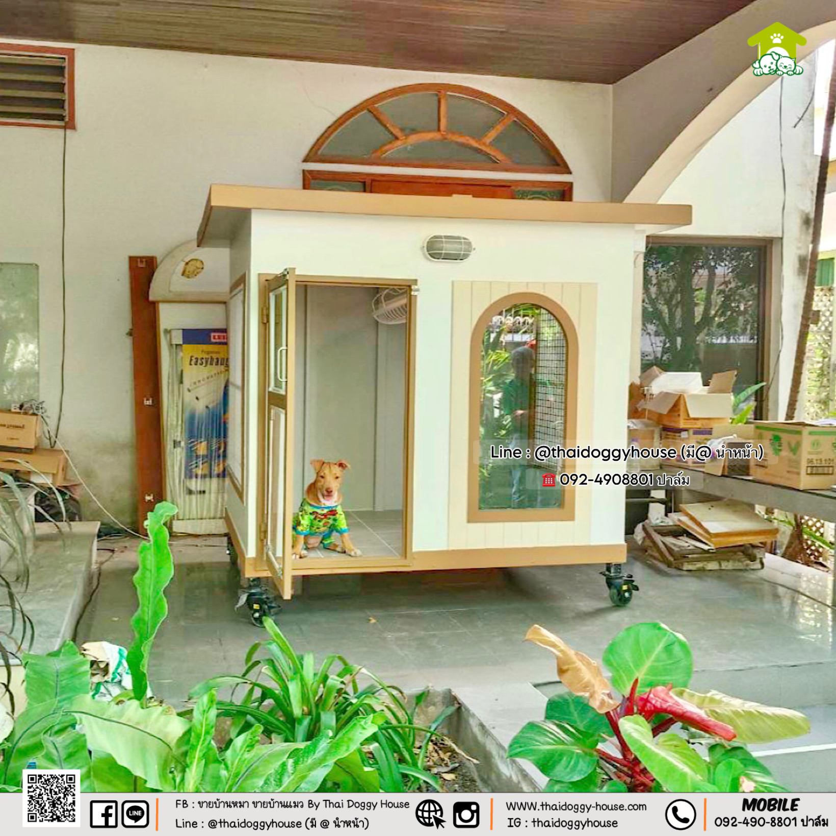 บ้านหมา บ้านแมว 𝐓𝐡𝐚𝐢 𝐝𝐨𝐠𝐠𝐲 𝐡𝐨𝐮𝐬𝐞 แบบบ้าน 𝐌𝐢𝐧𝐢𝐦𝐚𝐥