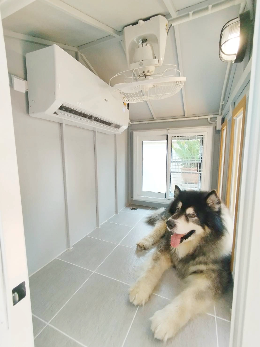 บ้านหมา บ้านแมว 𝐓𝐡𝐚𝐢 𝐝𝐨𝐠𝐠𝐲 𝐡𝐨𝐮𝐬𝗲