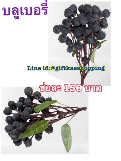 บลูเบอร์รี่ปลอม (Blueberry)