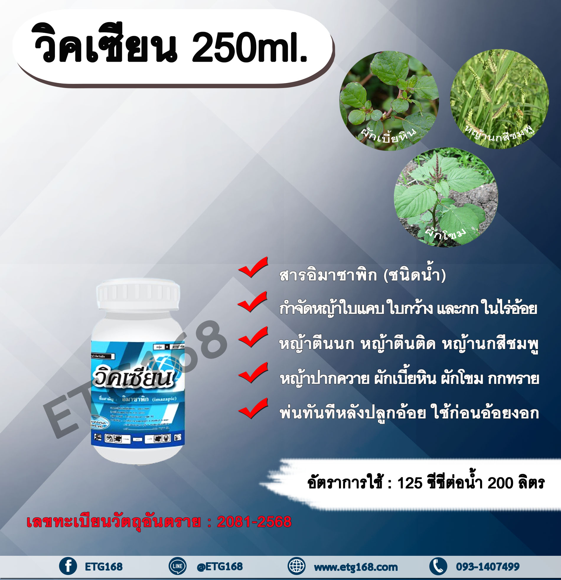 วิคเซียน 250ml.สารอิมาซาพิก กำจัดหญ้าในไร่อ้อย สารกำจัดวัชพืช ใบแคบ ใบกว้าง และหญ้าตีนติด หญ้าตีนกา หญ้านกสีชมพู หญ้าปากควาย ผักเบี้ยหิน ผักโขม ผักเสี้ยนผี พ่นทันทีหลังปลูกอ้อย ใช้ก่อนอ้อยงอก