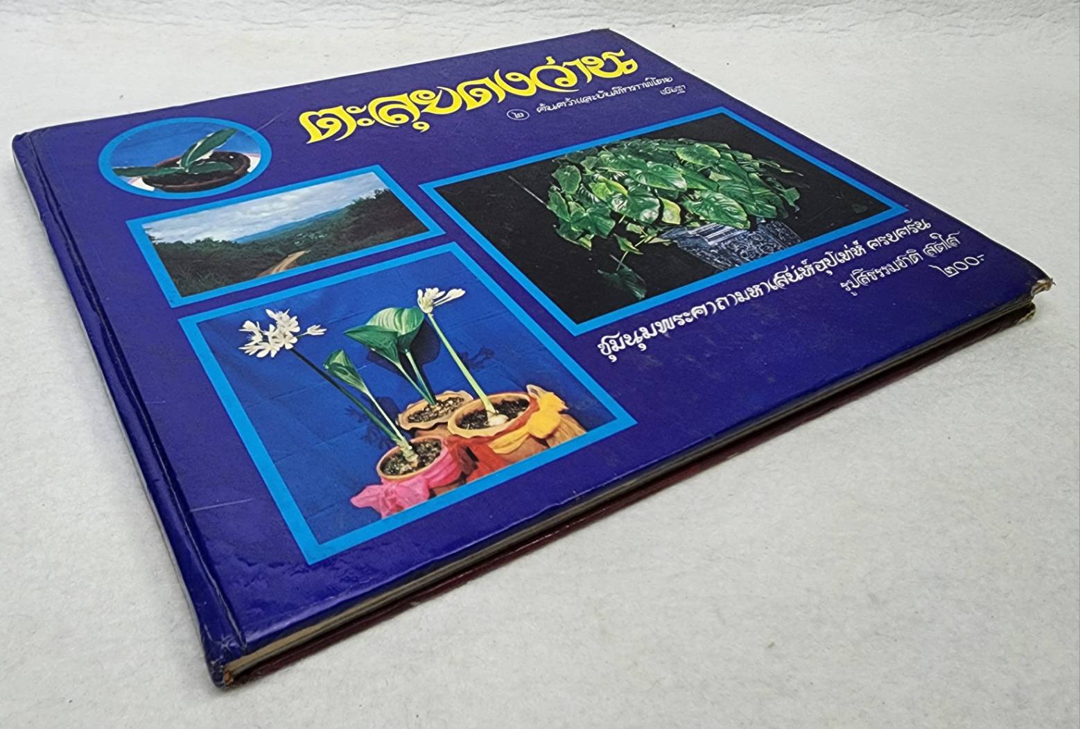 ตะลุยดงว่าน ๒ SKU-10018