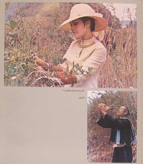 สมุดภาพฝีพระหัตถ์ ภาพเขียน - ภาพถ่าย 000005