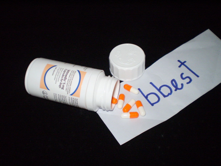 ขายยา Vetmedin ยาโรคหัวใจสำหรับสุนัขตัวยา Pimobendan 5 mg Capsule มีพร้อมส่งแล้วครับ